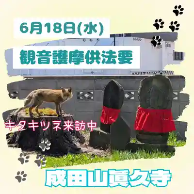 眞久寺の体験その他