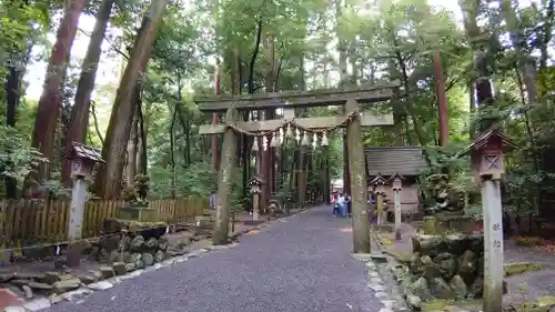 椿大神社の鳥居