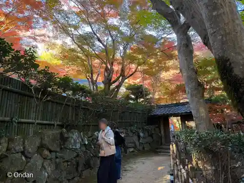 教林坊(滋賀県)