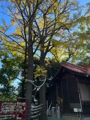 多摩川浅間神社(東京都)