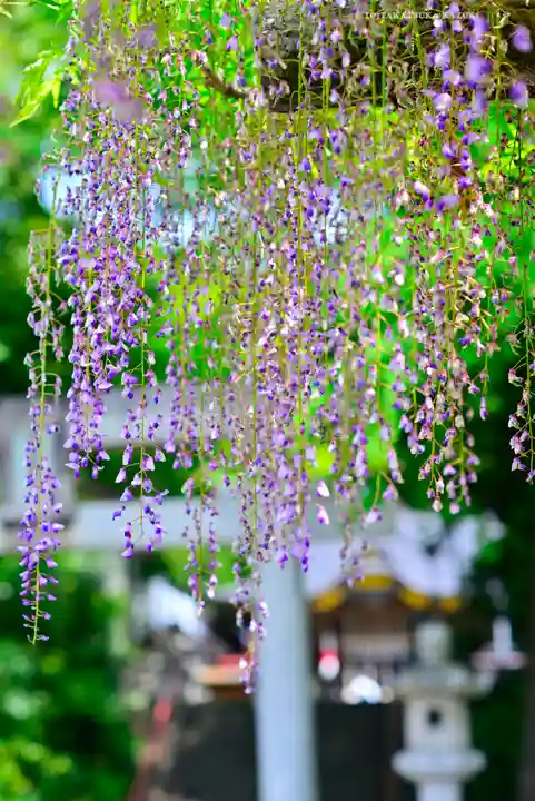 日吉神社(東京都)