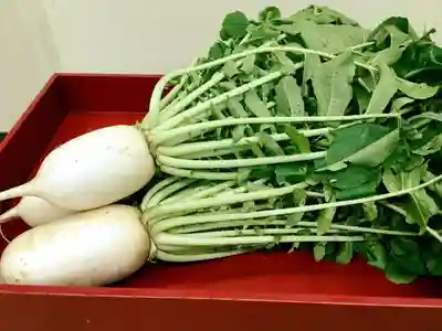 法楽寺のその他建物