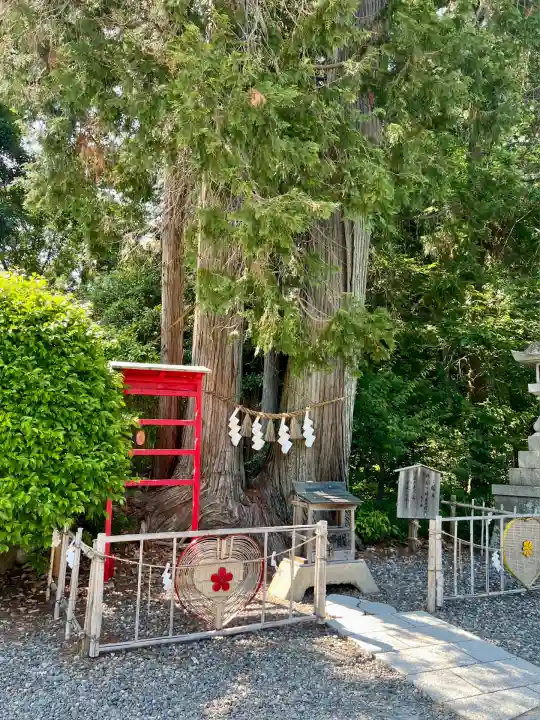矢奈比賣神社(見付天神)(静岡県)