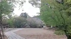 仁和寺の自然