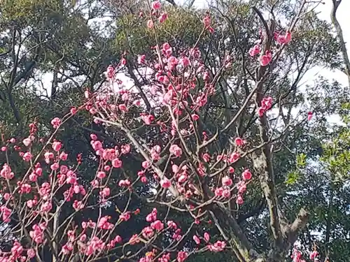 小松天満宮の自然