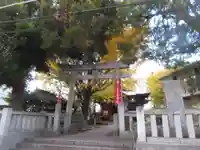 小金八坂神社(千葉県)