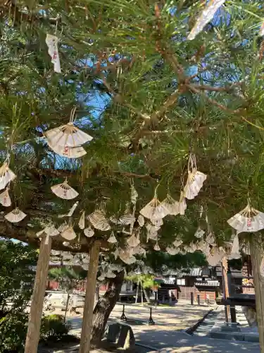 智恩寺(京都府)