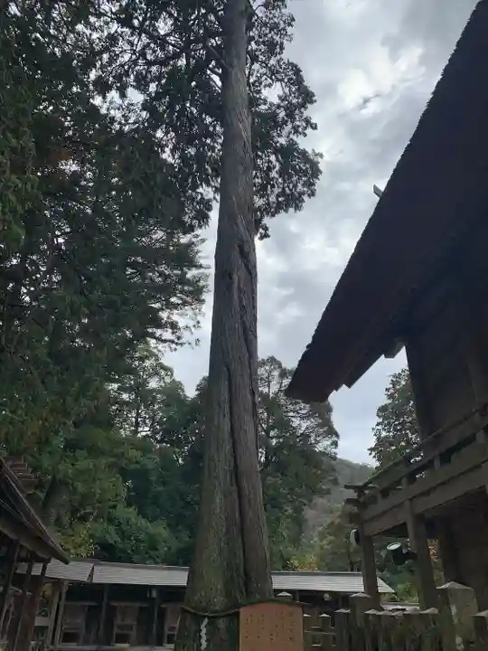 豊受大神社(京都府)