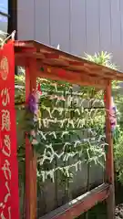 烏森神社のおみくじ