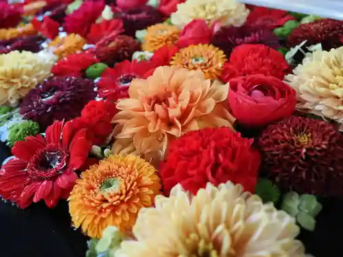 成田山深川不動堂（新勝寺東京別院）(東京都)