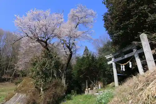 赤岩稲荷神社の鳥居