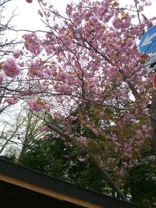 札幌諏訪神社の自然