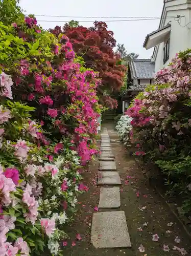 龍泉寺(大阪府)