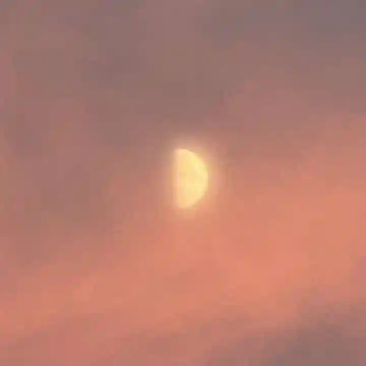 伊勢の国 四天王寺(三重県)