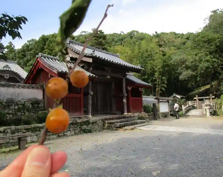 万松院(長崎県)