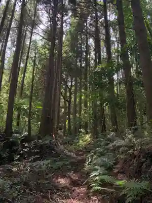 熊野大権現の周辺