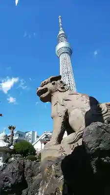 押上天祖神社の狛犬