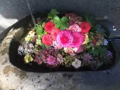 手稲神社の手水舎