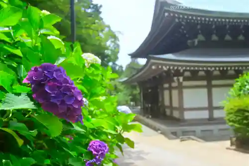 円覚寺(神奈川県)