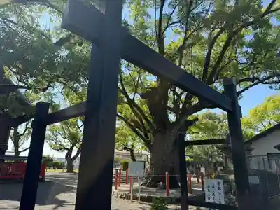 美奈宜神社(福岡県)