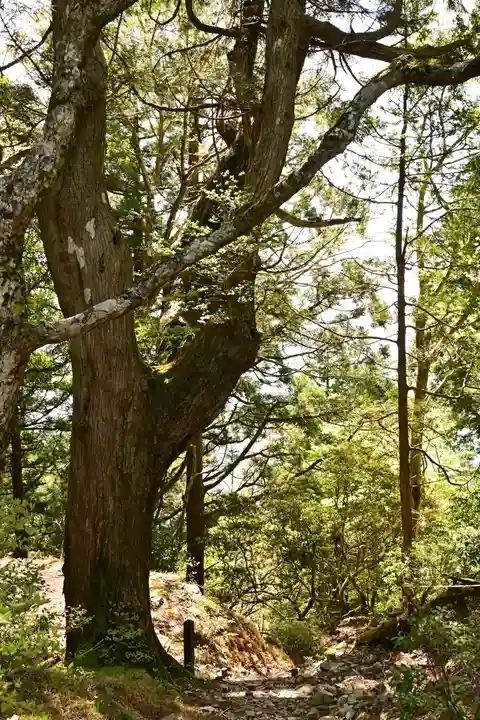篠山神社(愛媛県)