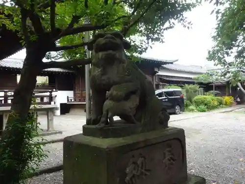 本郷氷川神社の狛犬