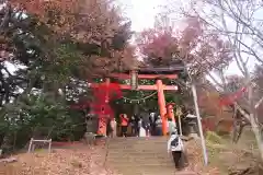 新倉富士浅間神社の鳥居