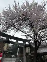 盛岡八幡宮(岩手県)