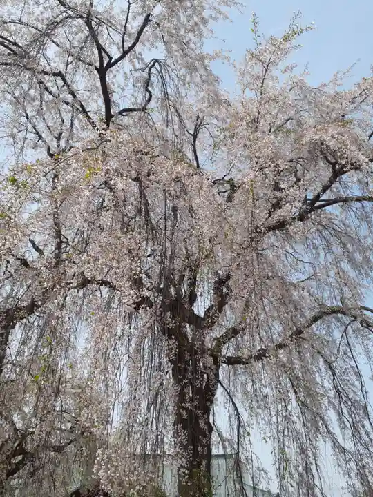 身照寺(岩手県)