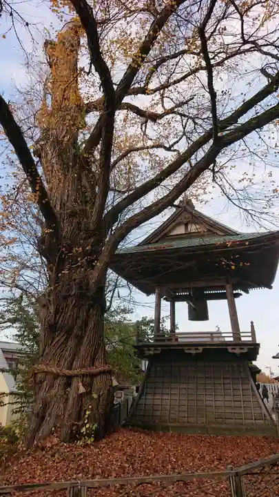 北向観音の自然