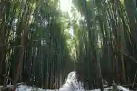 大日如来堂の景色