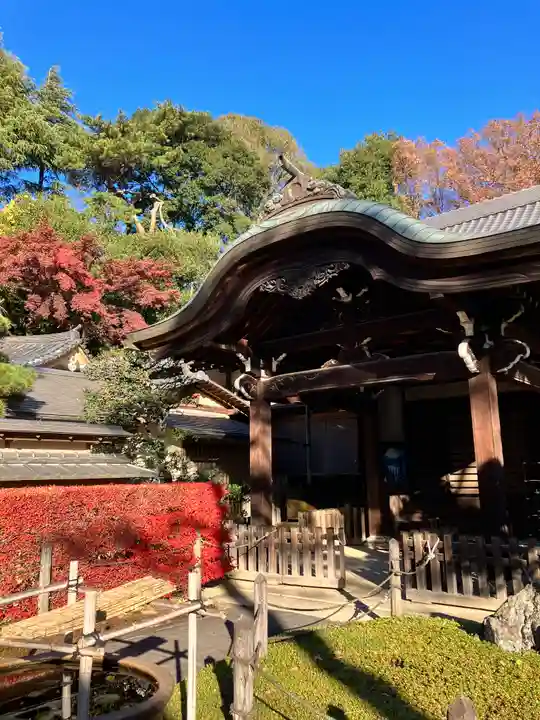 東長谷寺 薬王院(東京都)