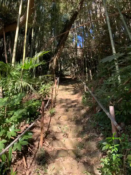 新光寺跡(千葉県)
