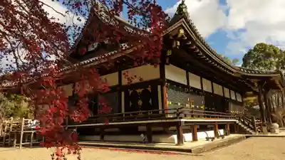 仁和寺(京都府)