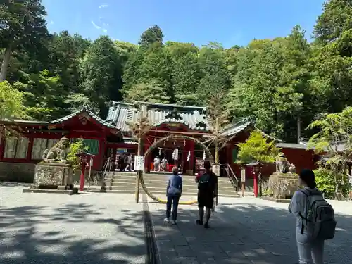箱根神社(神奈川県)