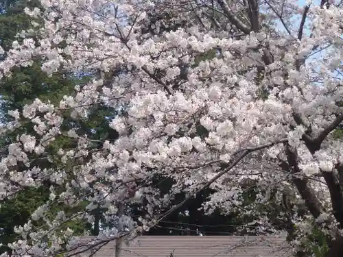 宇都母知神社(神奈川県)
