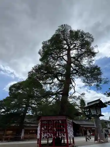 竹駒神社(宮城県)