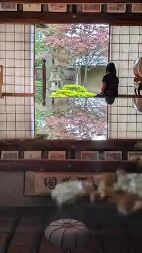 大雲寺(京都府)