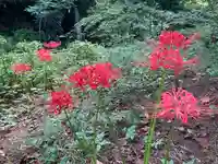 深大寺(東京都)