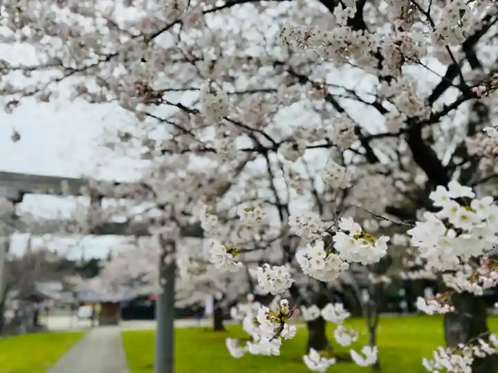 守りの神 藤基神社(新潟県)