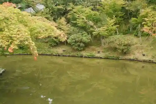 高台寺（高台寿聖禅寺・高臺寺）(京都府)