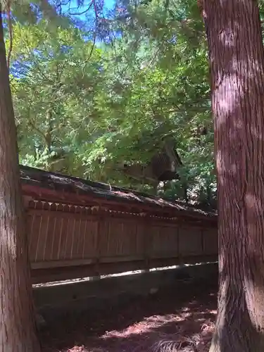 若狭姫神社（若狭彦神社下社）(福井県)