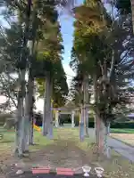 熊野神社のその他建物