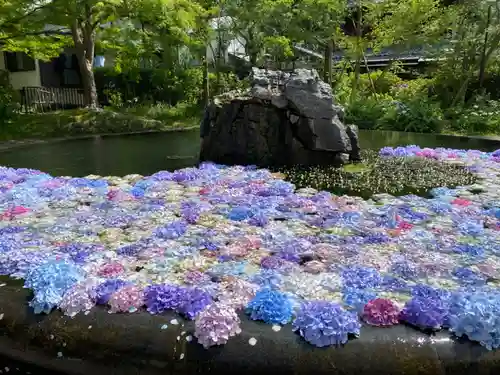 久安寺の庭園