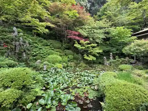 金剛輪寺(滋賀県)