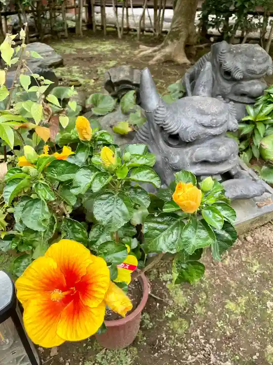 谷中 妙福寺(東京都)