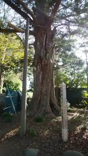 文殊院のその他建物