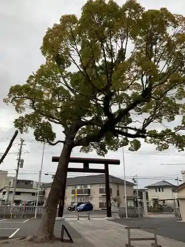 大宮神社の鳥居