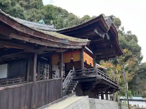 金剛寺の本殿・本堂