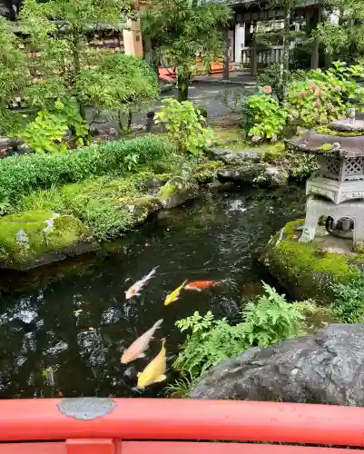 大井神社(静岡県)